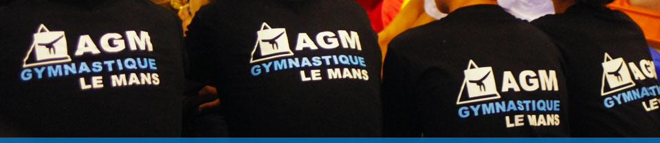 Gymnastique Artistique Masculine LE MANS